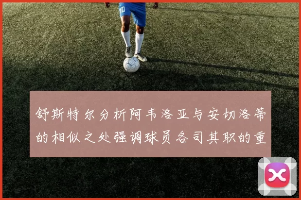 舒斯特尔分析阿韦洛亚与安切洛蒂的相似之处强调球员各司其职的重要性