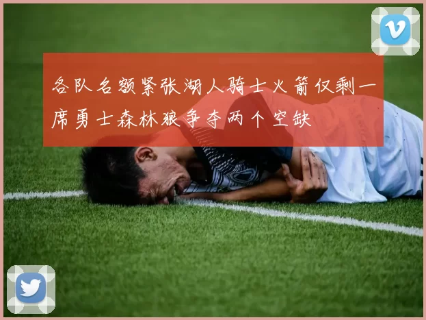 各队名额紧张湖人骑士火箭仅剩一席勇士森林狼争夺两个空缺