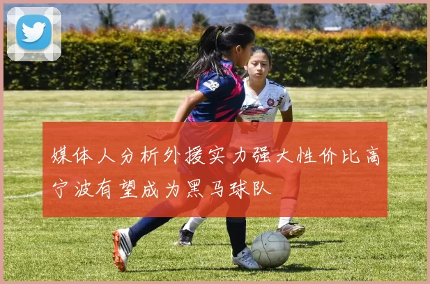 媒体人分析外援实力强大性价比高宁波有望成为黑马球队