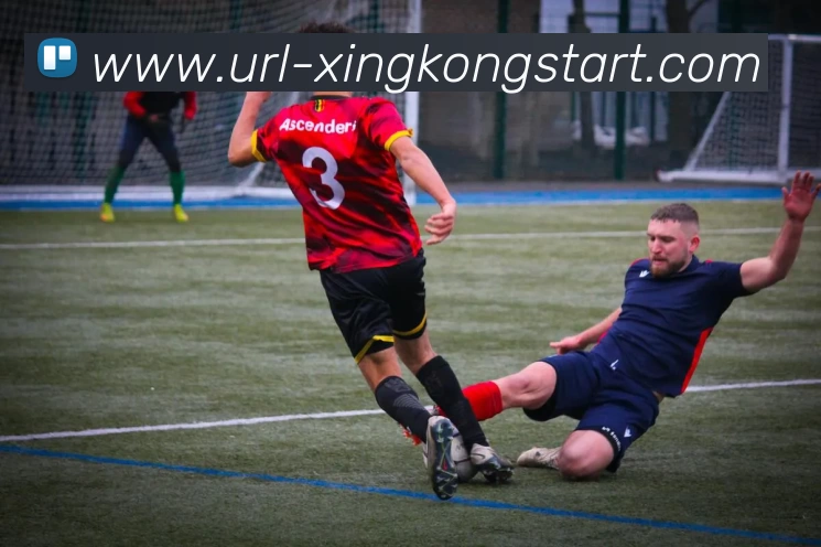 星空体育发展历程